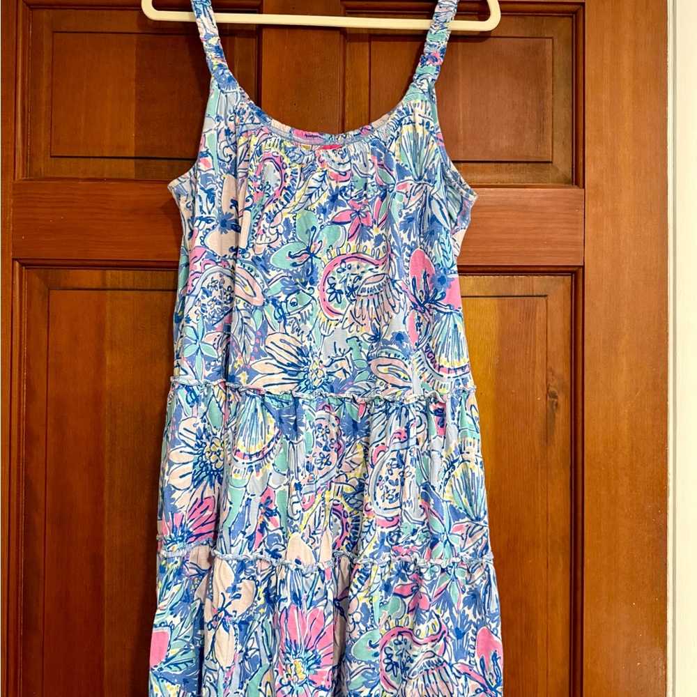 Lilly Pulitzer Loro Swing Dress